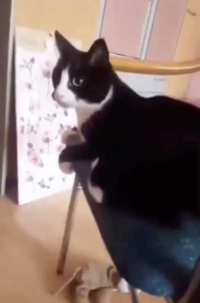 Heavy face slam from tail.