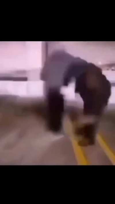 Yo