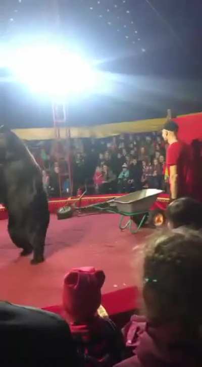 should i go again to circus?