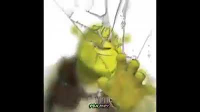 C U L T