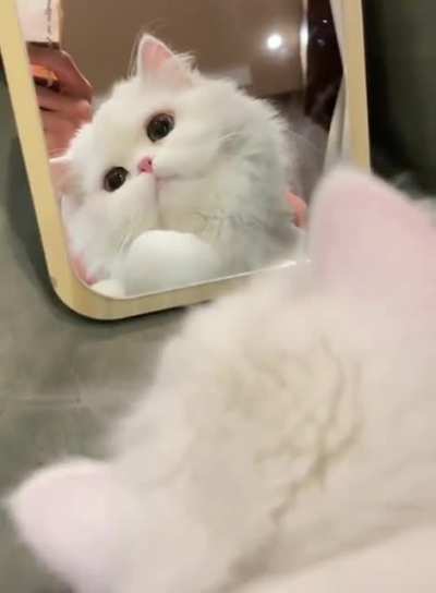 Well, why was I born so beautiful, to the whole world for evil