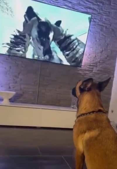 Aye c'mon hooman that aint right.