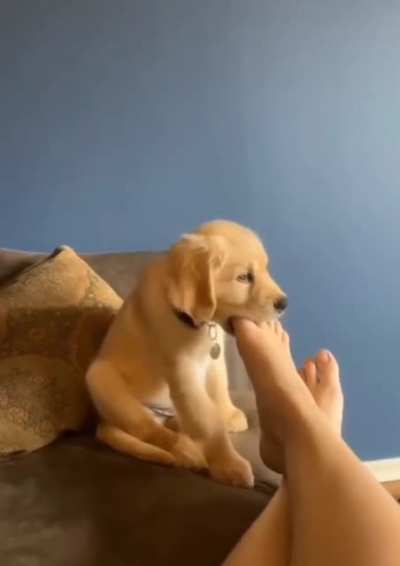 Must... monch... foot