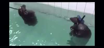 Navy seals
