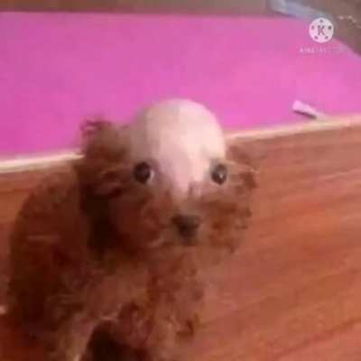 Imma cry