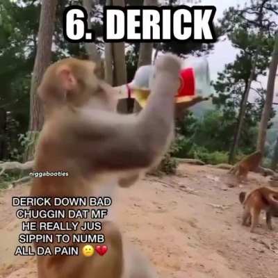 name every primate