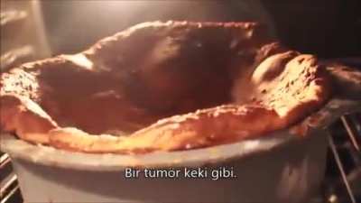 Bu videoyu sonuna kadar kusmadan izleyen herkese bir dilim kek göndercem. (9 kere izleyince alışıyosun)