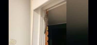 Be free little one