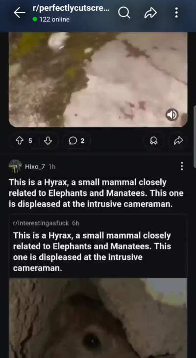 please stop