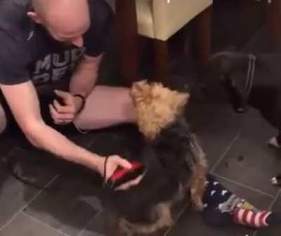 That's the spot 🐾