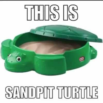 this is what