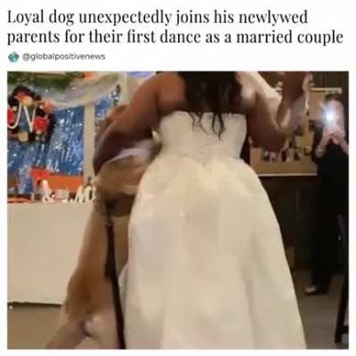 A newlywed couple was enjoying their first dance when suddenly someone unexpectedly joined them.
