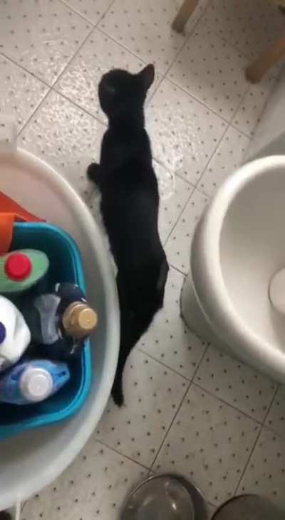 Having fun in bathroom after surgery