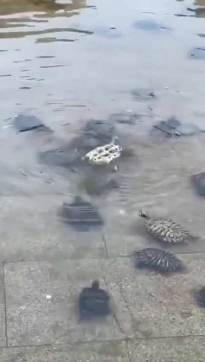 Gathering up