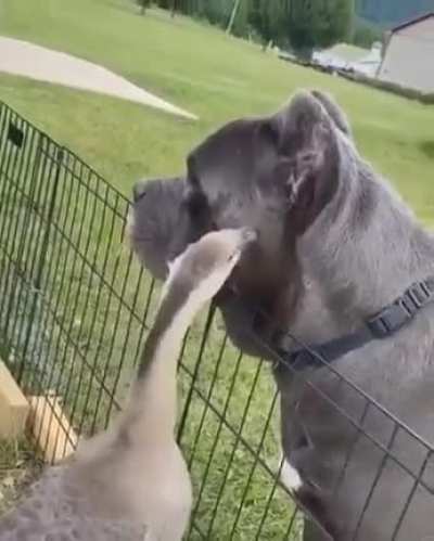 hmmm