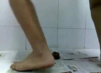 Indian girl drops a nice pile onto newspapers