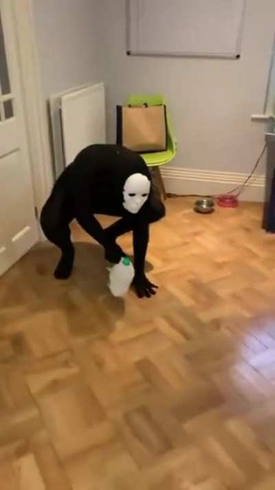 MilkCult