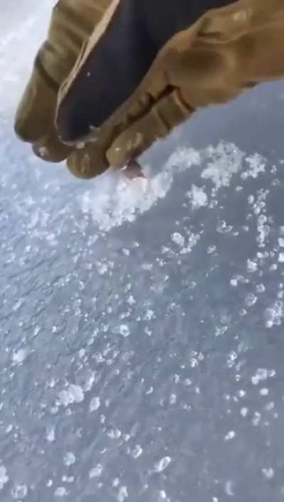 Thicc Ice