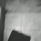 Cursed Meeting