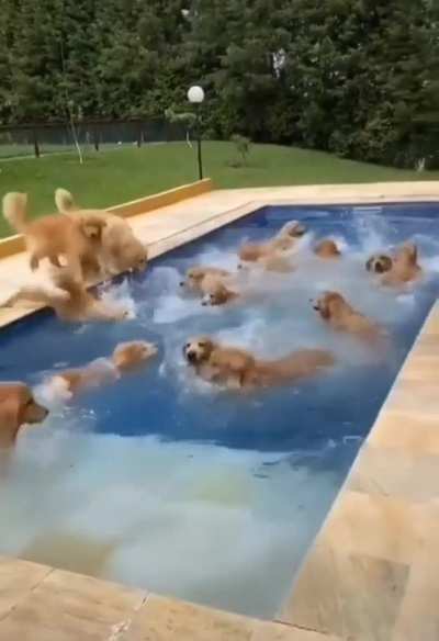 The best pool party