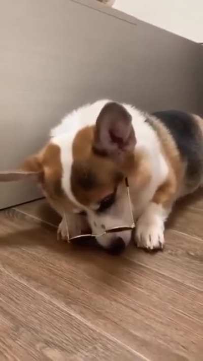 This boi will blow your mind