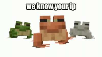 they know your ip
