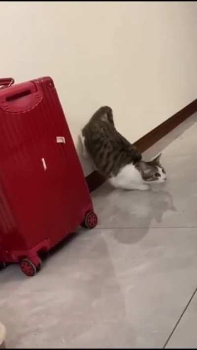 getting leverage for maximum dash speed