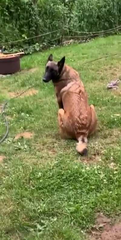 Ruff
