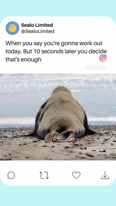 That’s enough exercise for the day