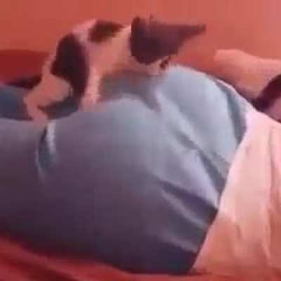 Knows where to bite, instinctively!