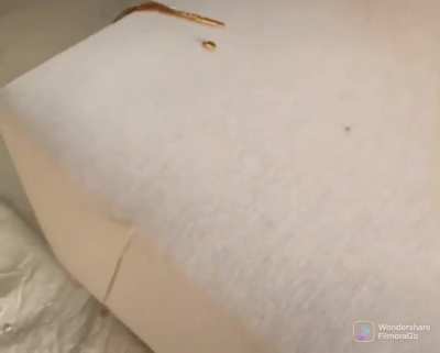 Water proof bedspread