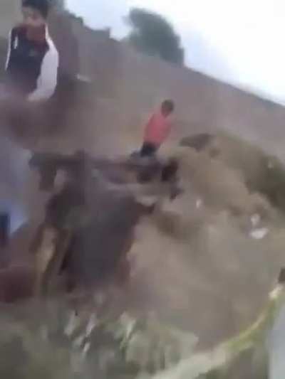 Stopping two fighting dogs 