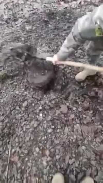 Minesweeper IRL