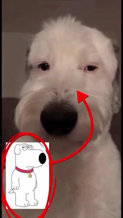 Brian