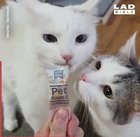 It’s my tongue!!!