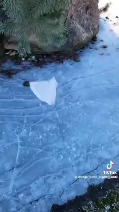 ice ice baby