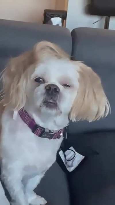 Morning face