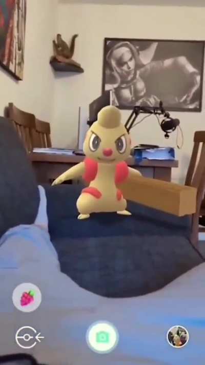 hey yo its timburr