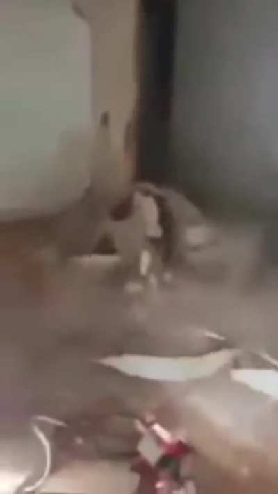 Kid fell with the whole wall