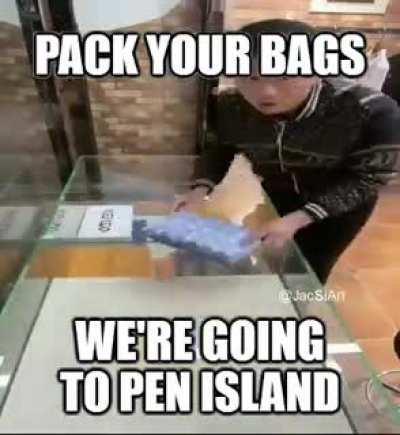 Penisland.mp4