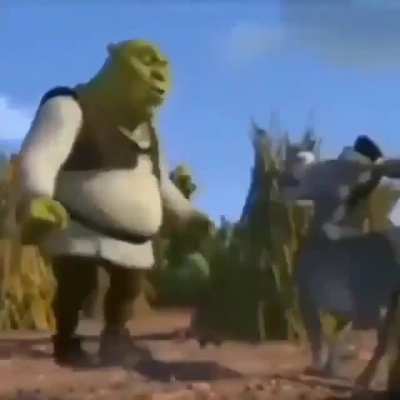 Catapimbas 😳