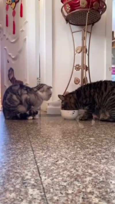 Sharing is caring