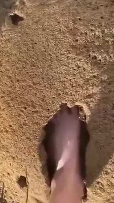 Just why...