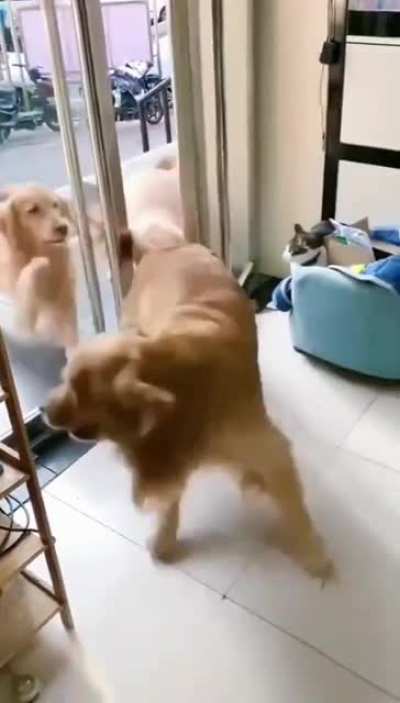 Such a gentleman!