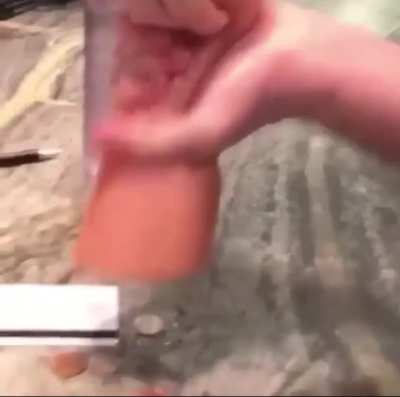 This cashier