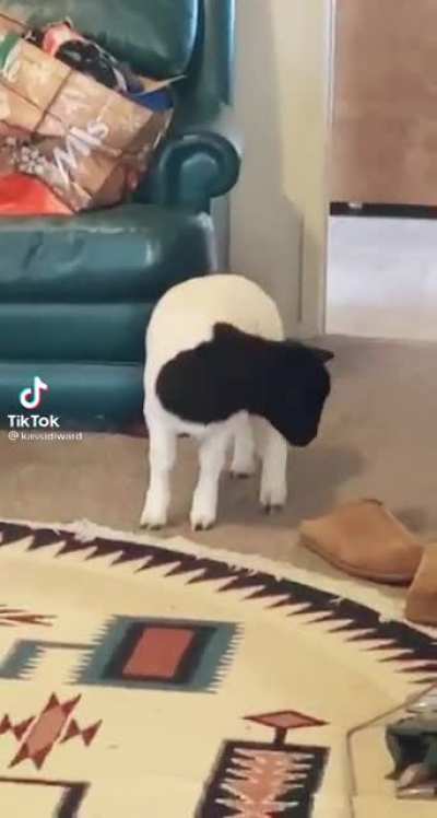 What are you doing in here???