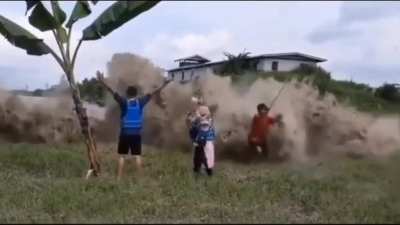 Just a guy punching a Palm tree