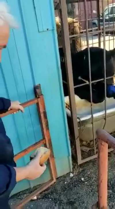 Не лезь б***ть она тебя сожрет