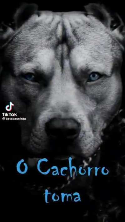 e o lobo?
