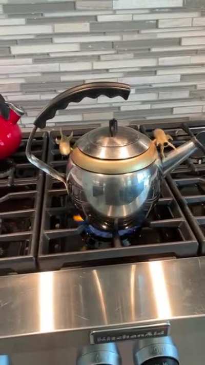 Kettle from the sixties - the rocket ships spin from the steam it generates when the water is boiling.